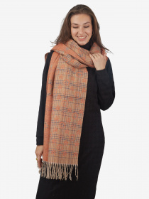 Шарф Regina Notte Модель 4000000215945 Фото