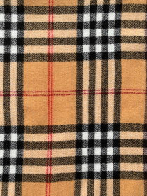 Шарф Regina Notte модель 4000000214269 Фото