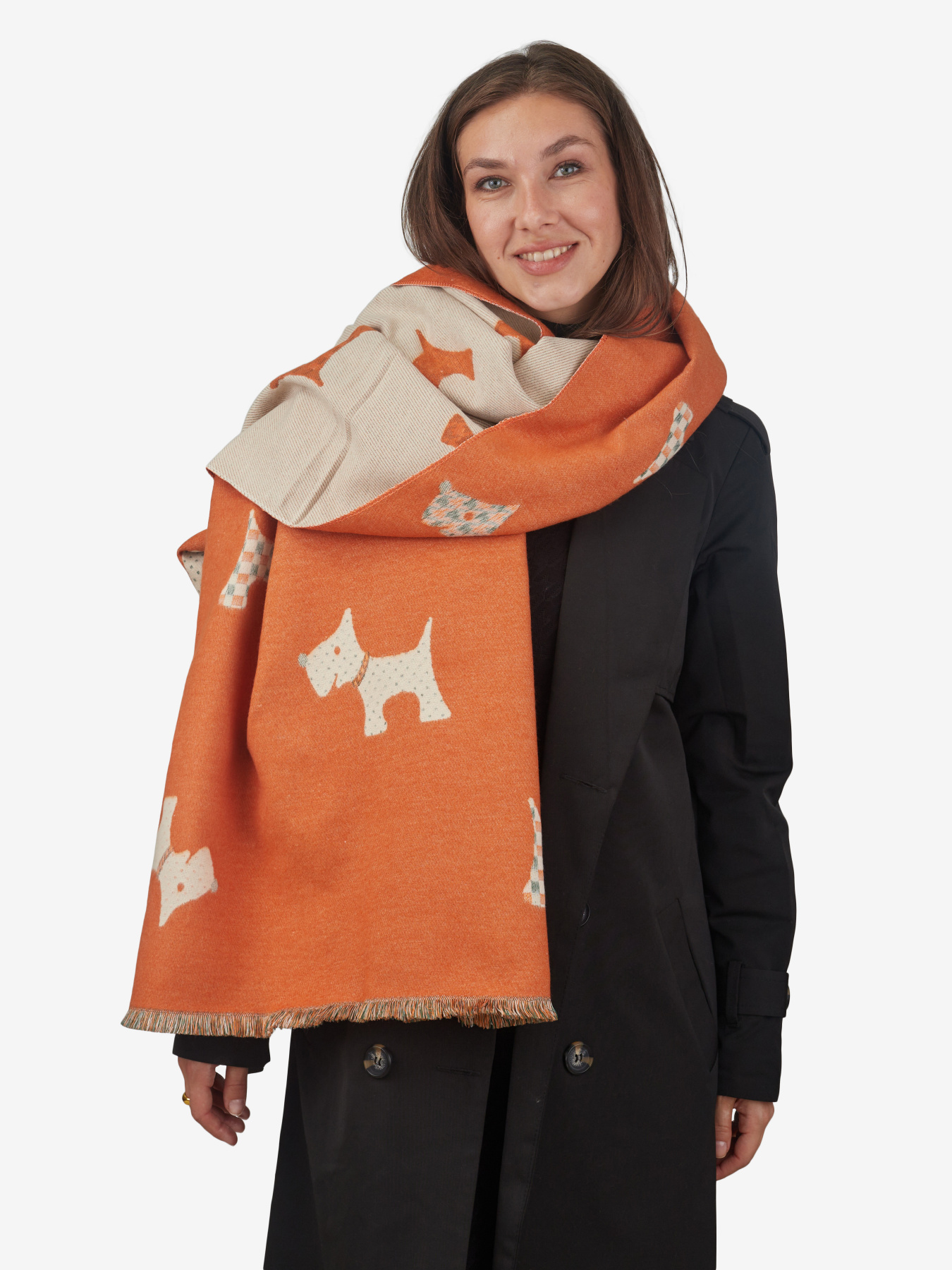 Шарф Regina Notte модель 4000000213415 Фото