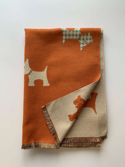 Шарф Regina Notte модель 4000000213415 Фото