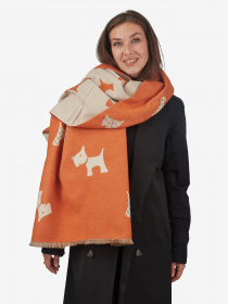 Шарф Regina Notte модель 4000000213415 Фото