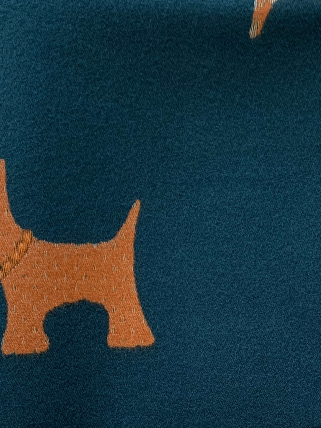 Шарф Regina Notte модель 4000000213149 Фото