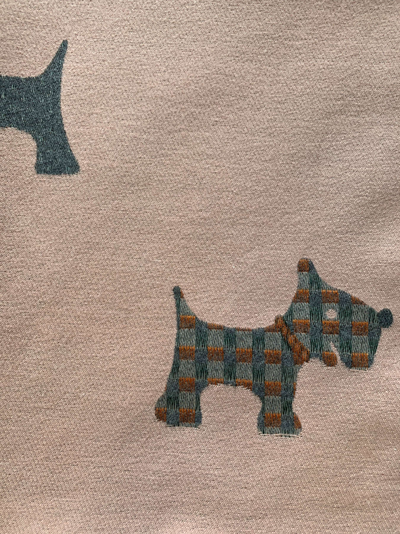 Шарф Regina Notte модель 4000000105406 Фото