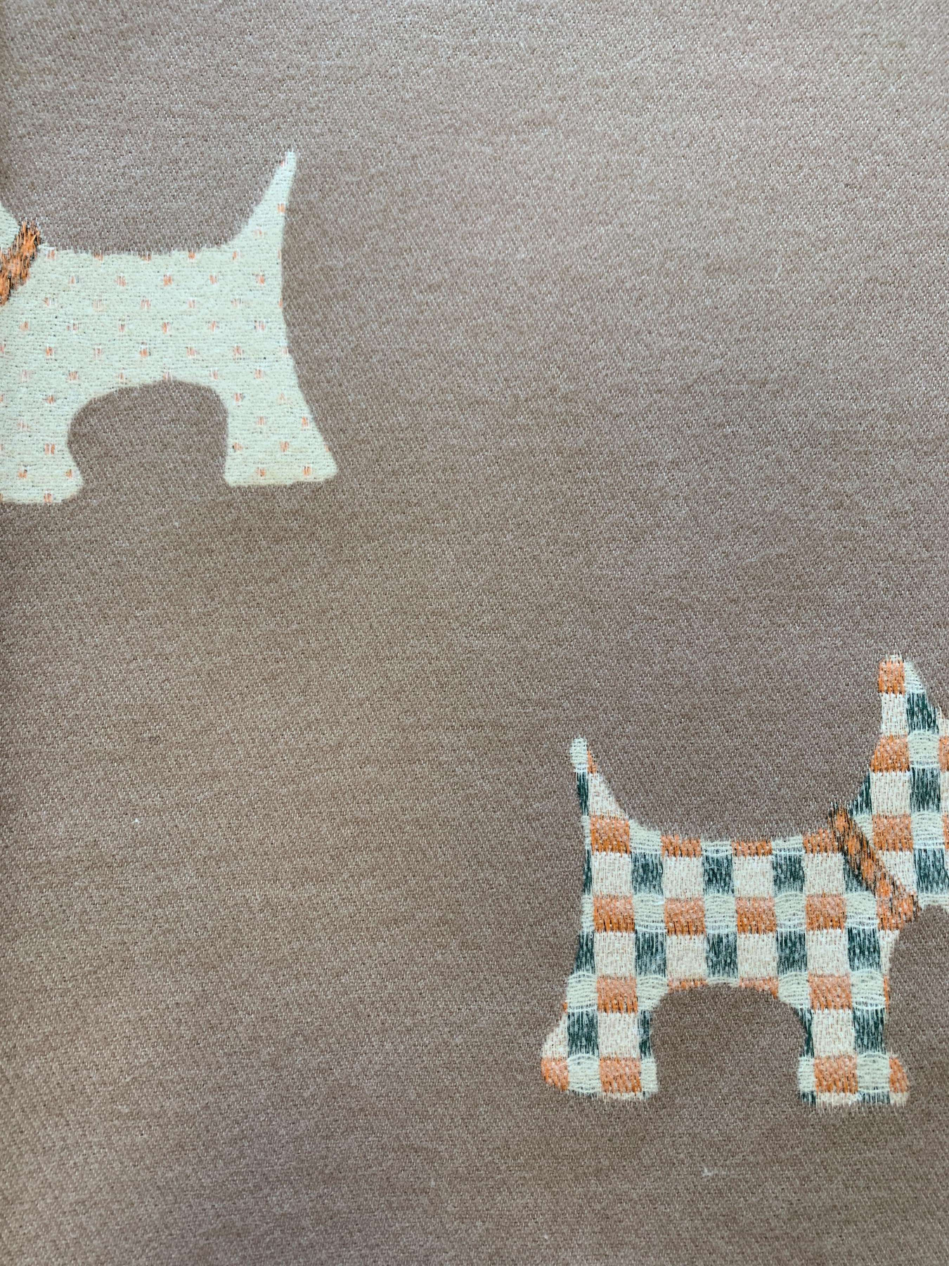 Шарф Regina Notte модель 4000000214344 Фото