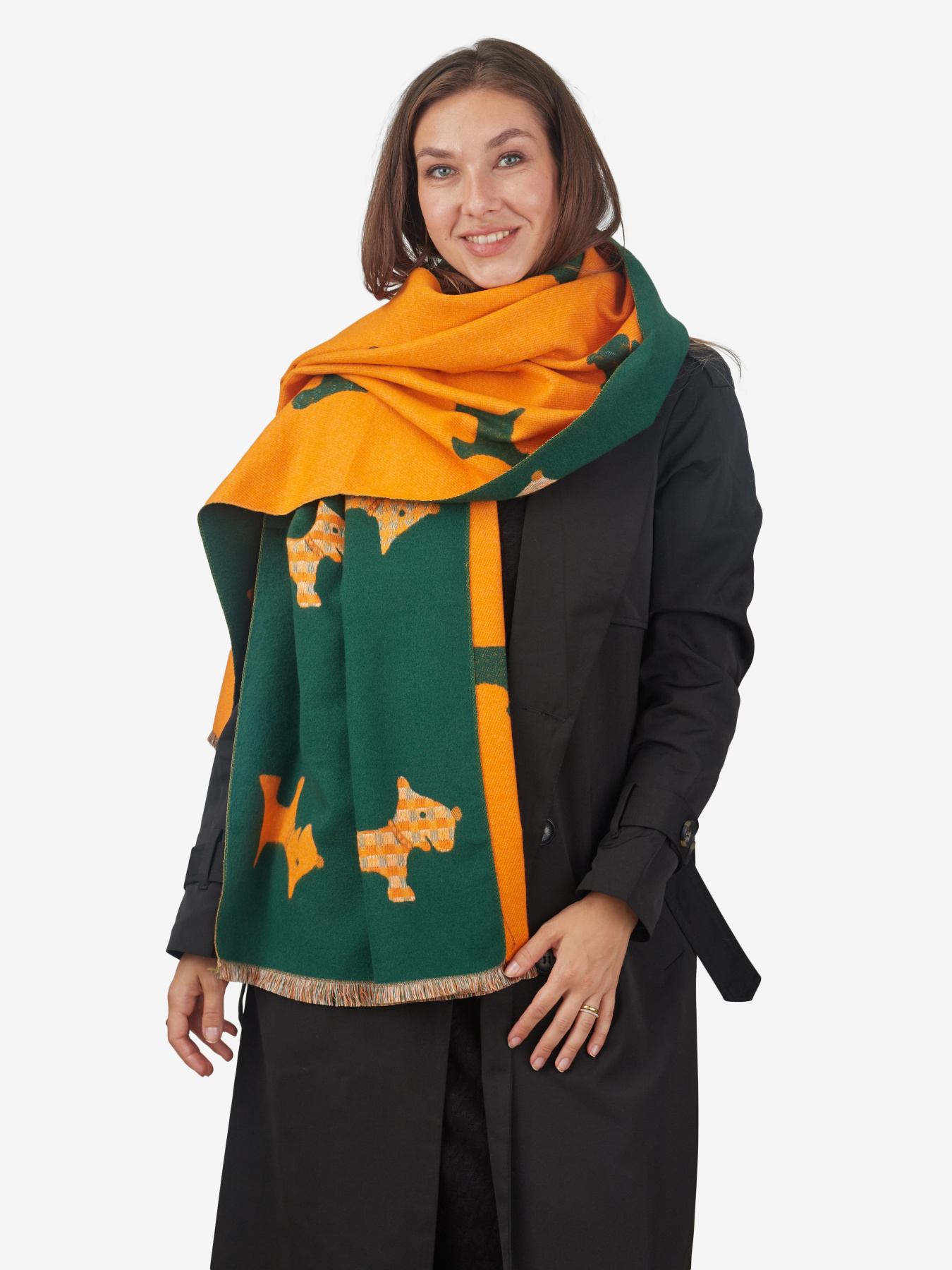 Шарф Regina Notte модель 4000000110523 Фото