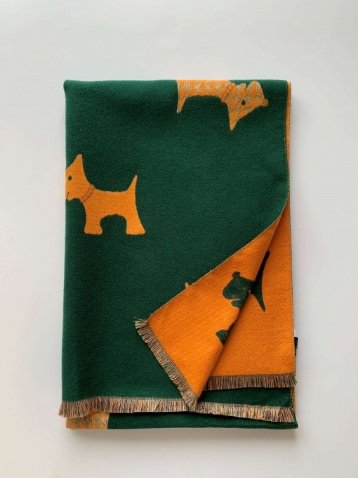 Шарф Regina Notte модель 4000000110523 Фото