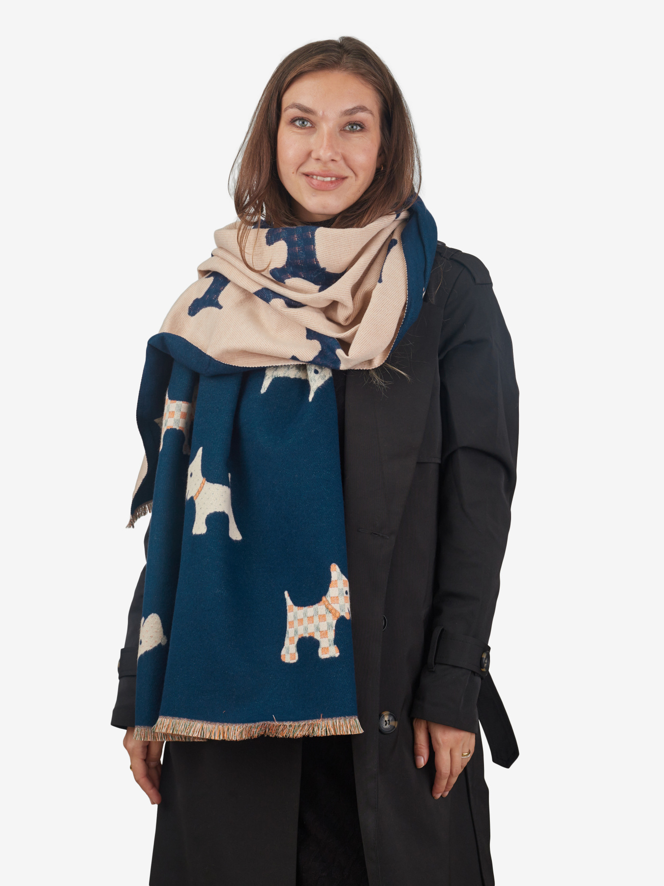 Шарф Regina Notte модель 4000000115160 Фото