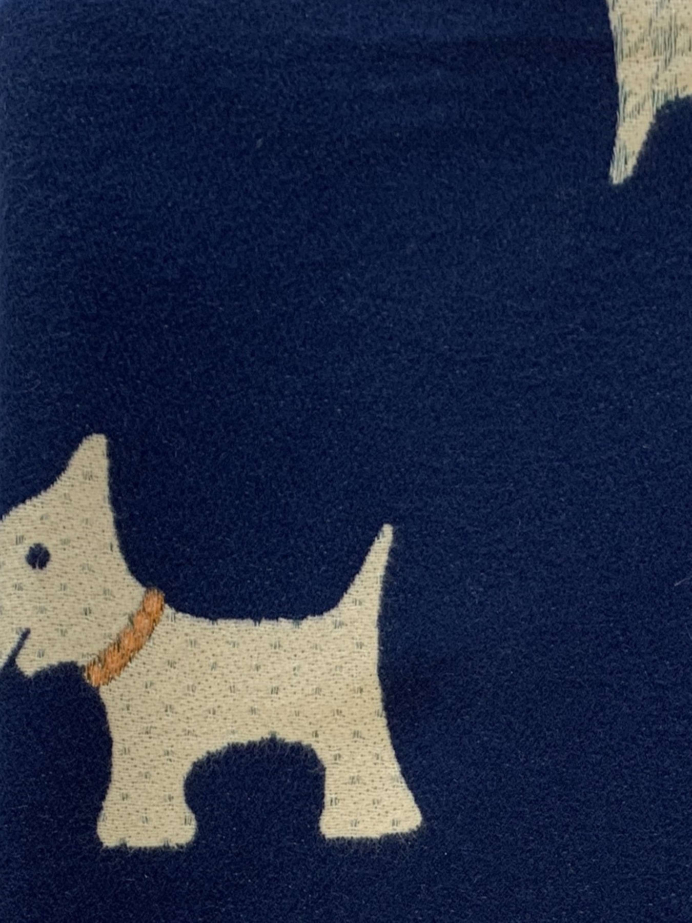 Шарф Regina Notte модель 4000000115160 Фото