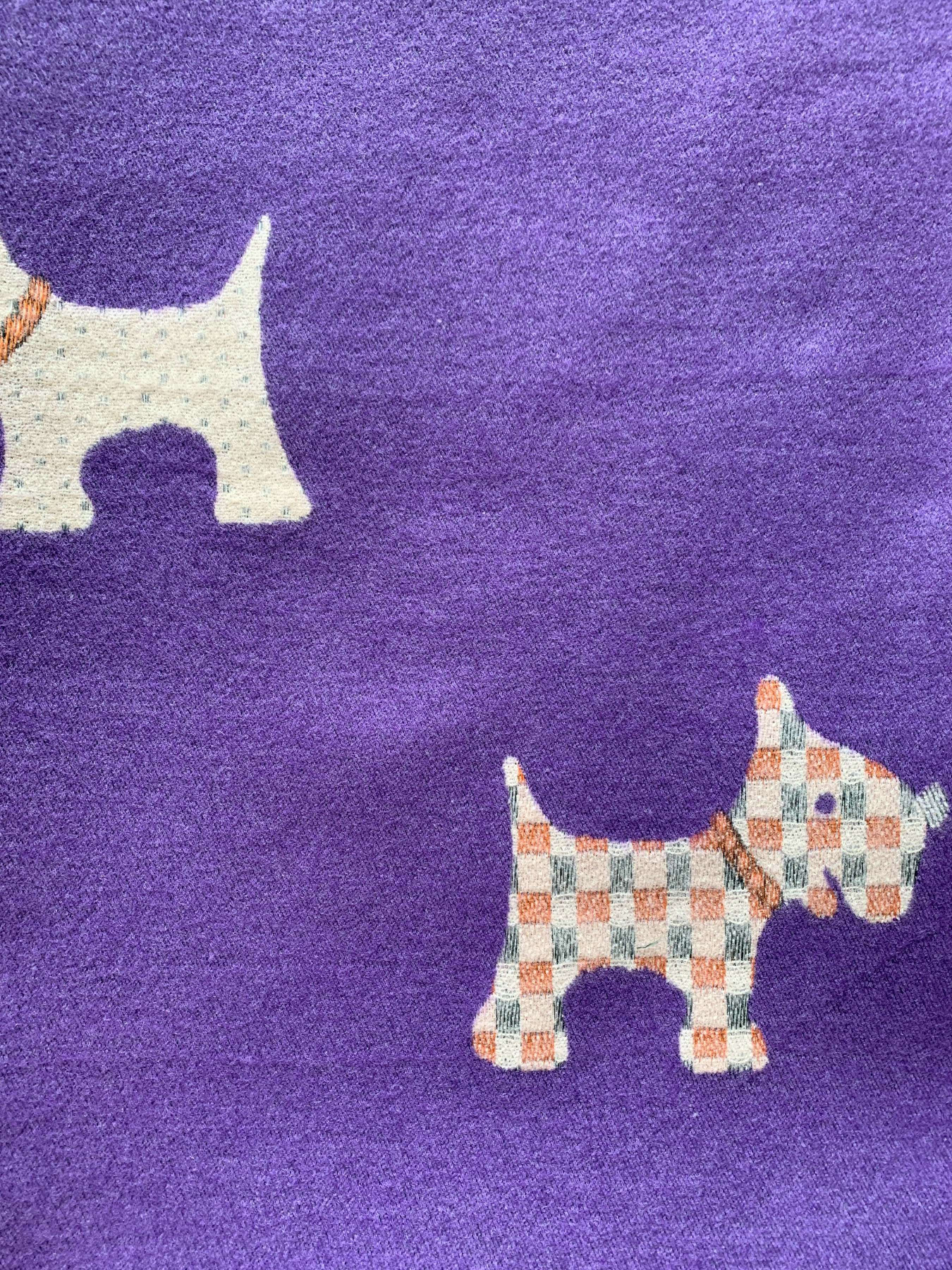 Шарф Regina Notte модель 4000000214641 Фото