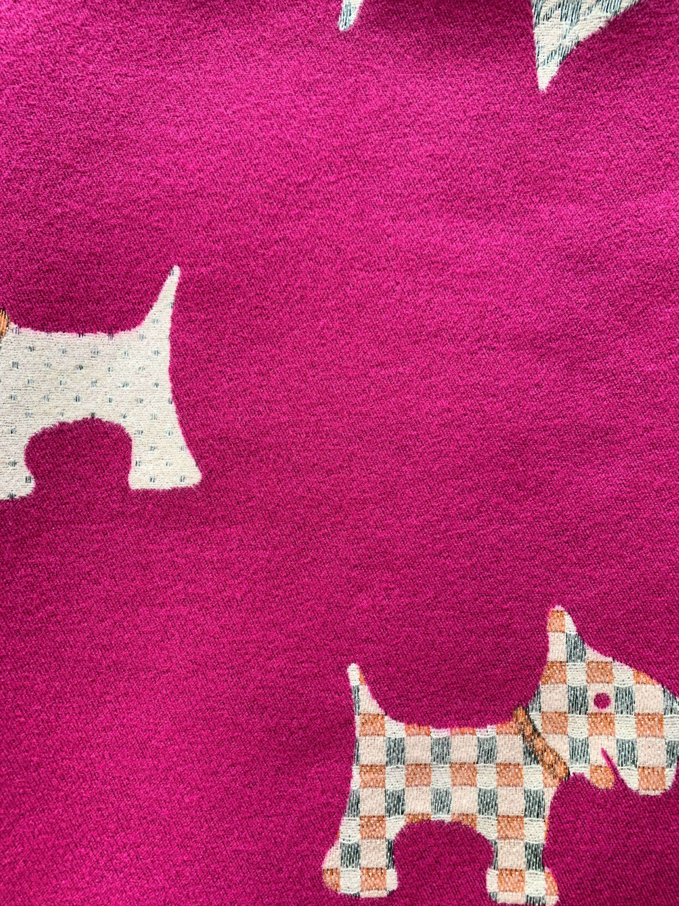 Шарф Regina Notte модель 4000000161839 Фото