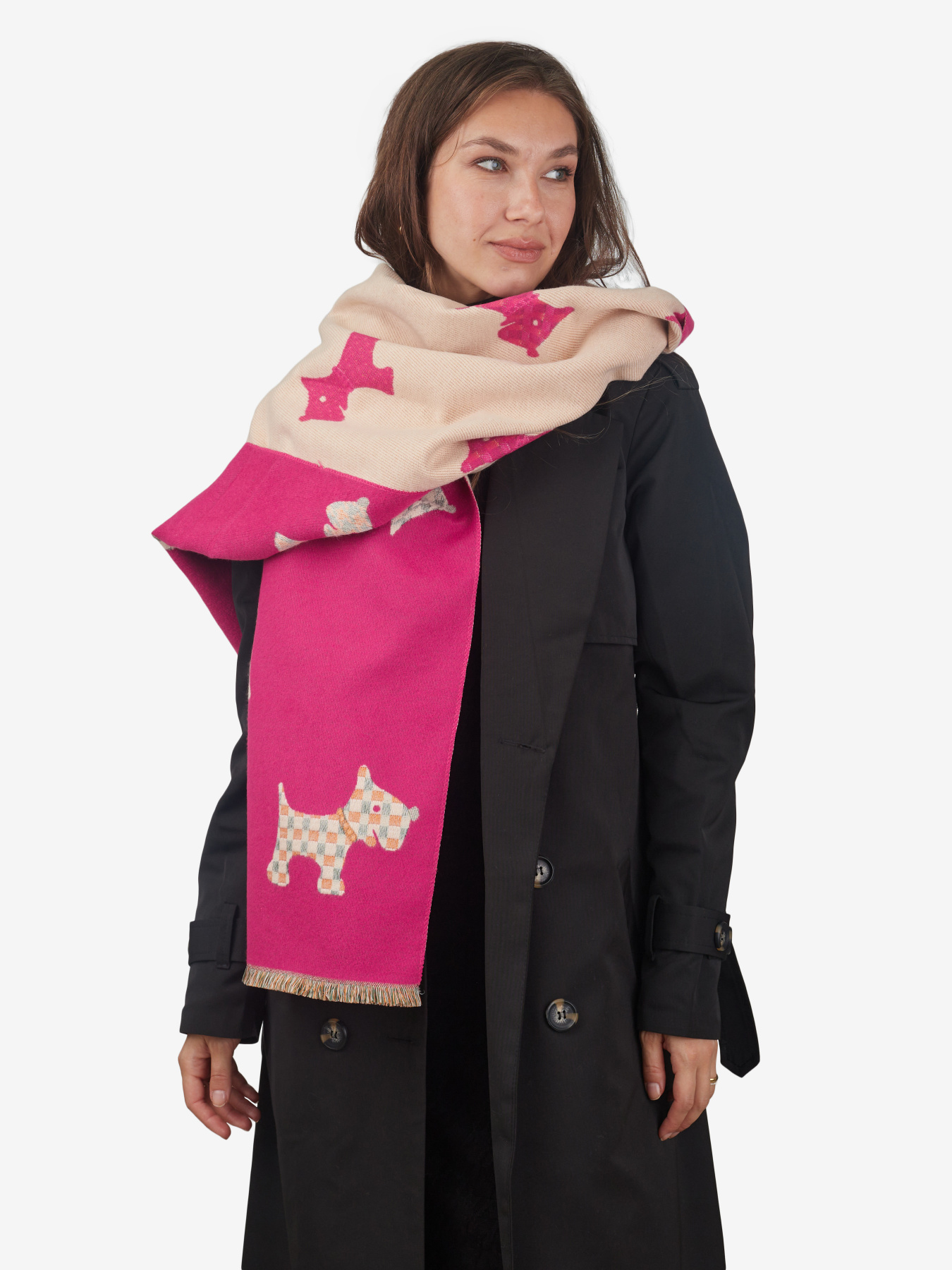 Шарф Regina Notte модель 4000000161839 Фото