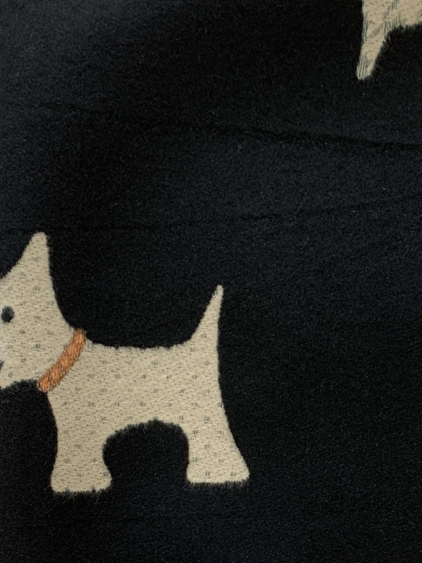 Шарф Regina Notte модель 4000000056807 Фото