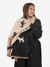 Шарф Regina Notte модель 4000000056807 Фото