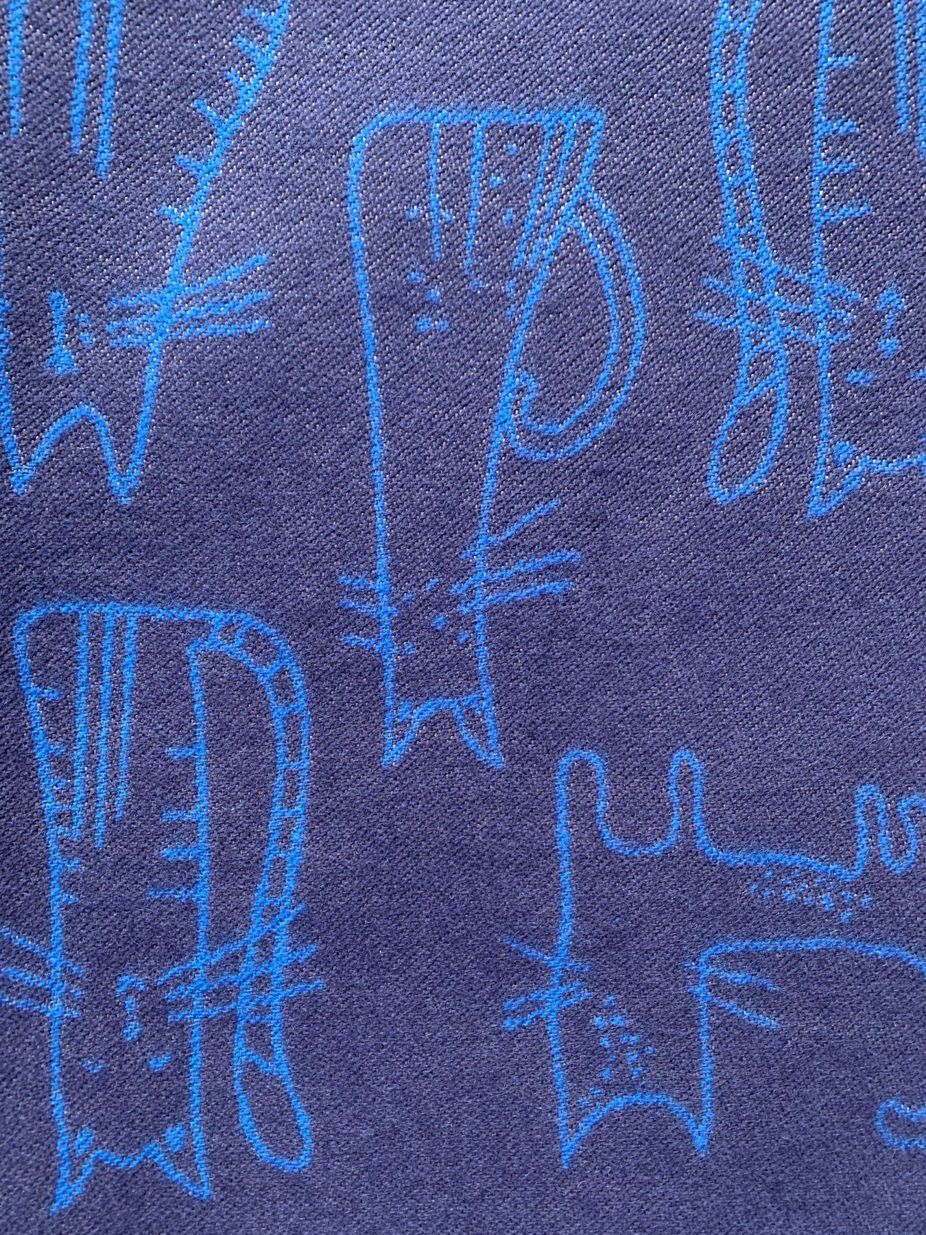 Шарф Regina Notte модель 4000000129419 Фото