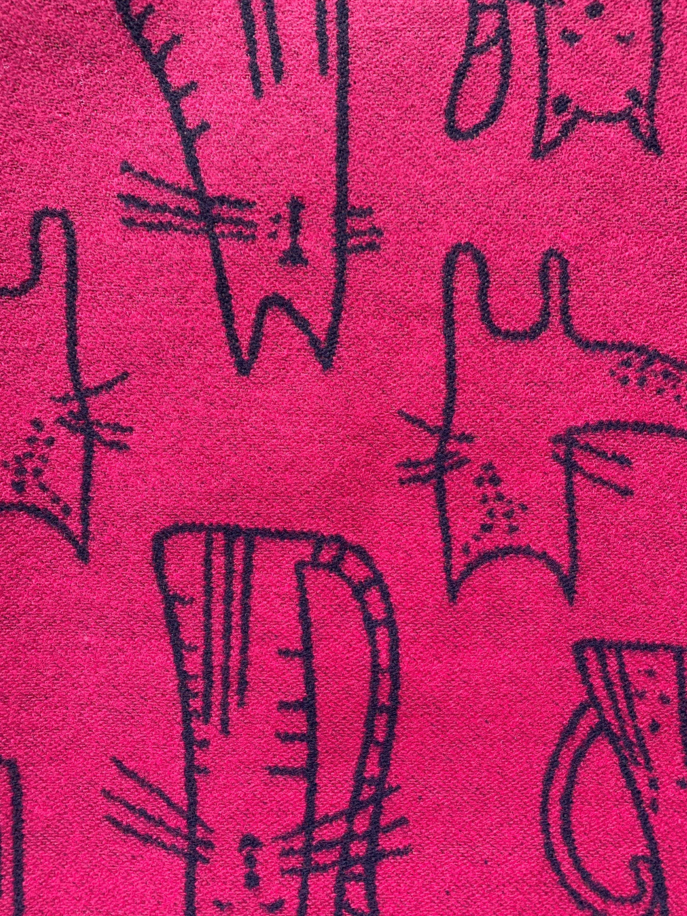 Шарф Regina Notte модель 4000000125879 Фото