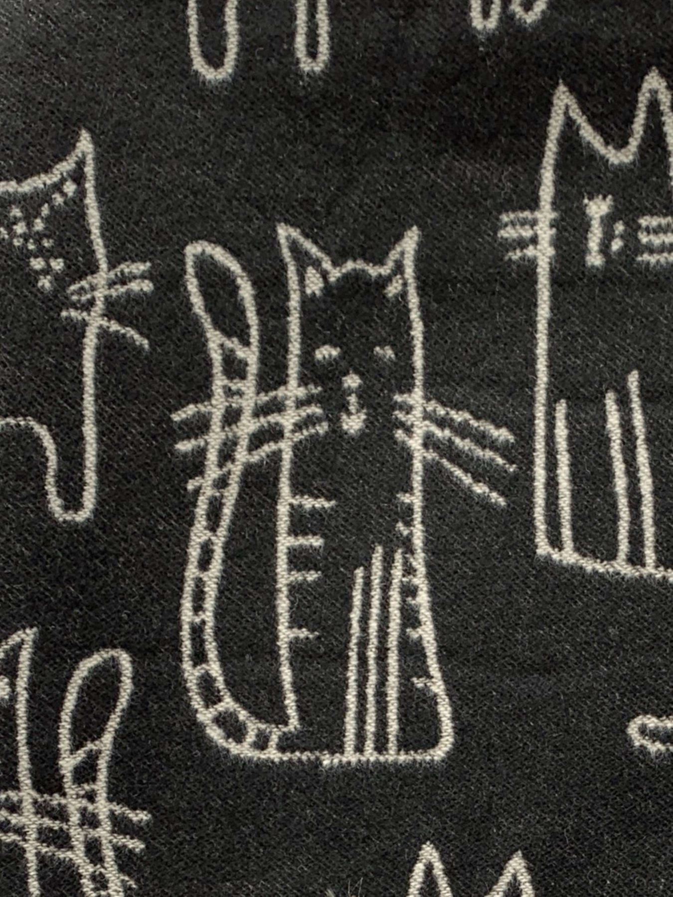 Шарф Regina Notte модель 4000000214702 Фото