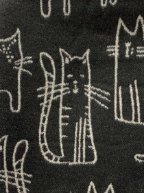 Шарф Regina Notte модель 4000000214702 Фото