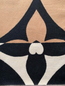 Шарф Regina Notte модель 4000000055558 Фото