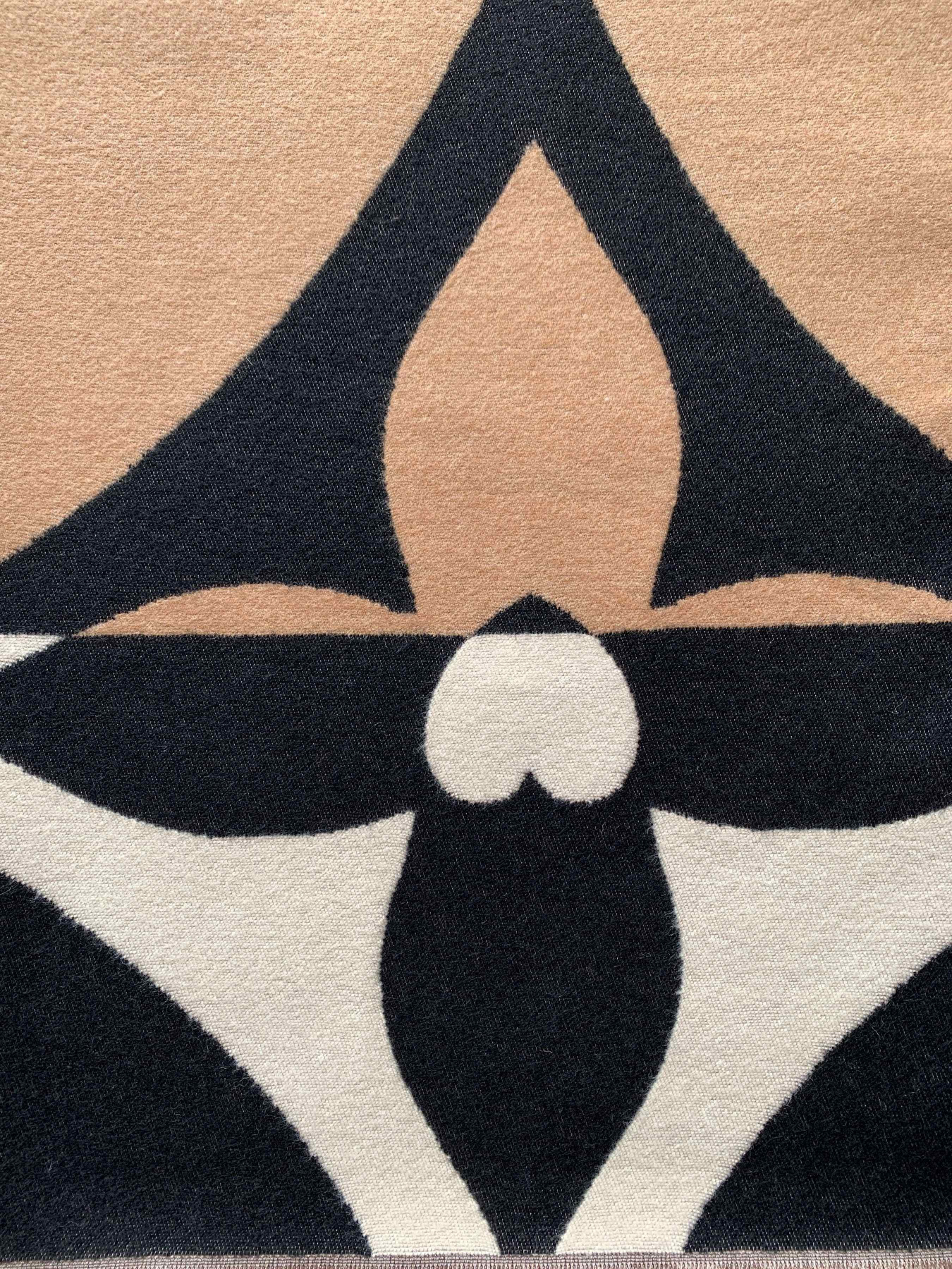 Шарф Regina Notte модель 4000000055558 Фото