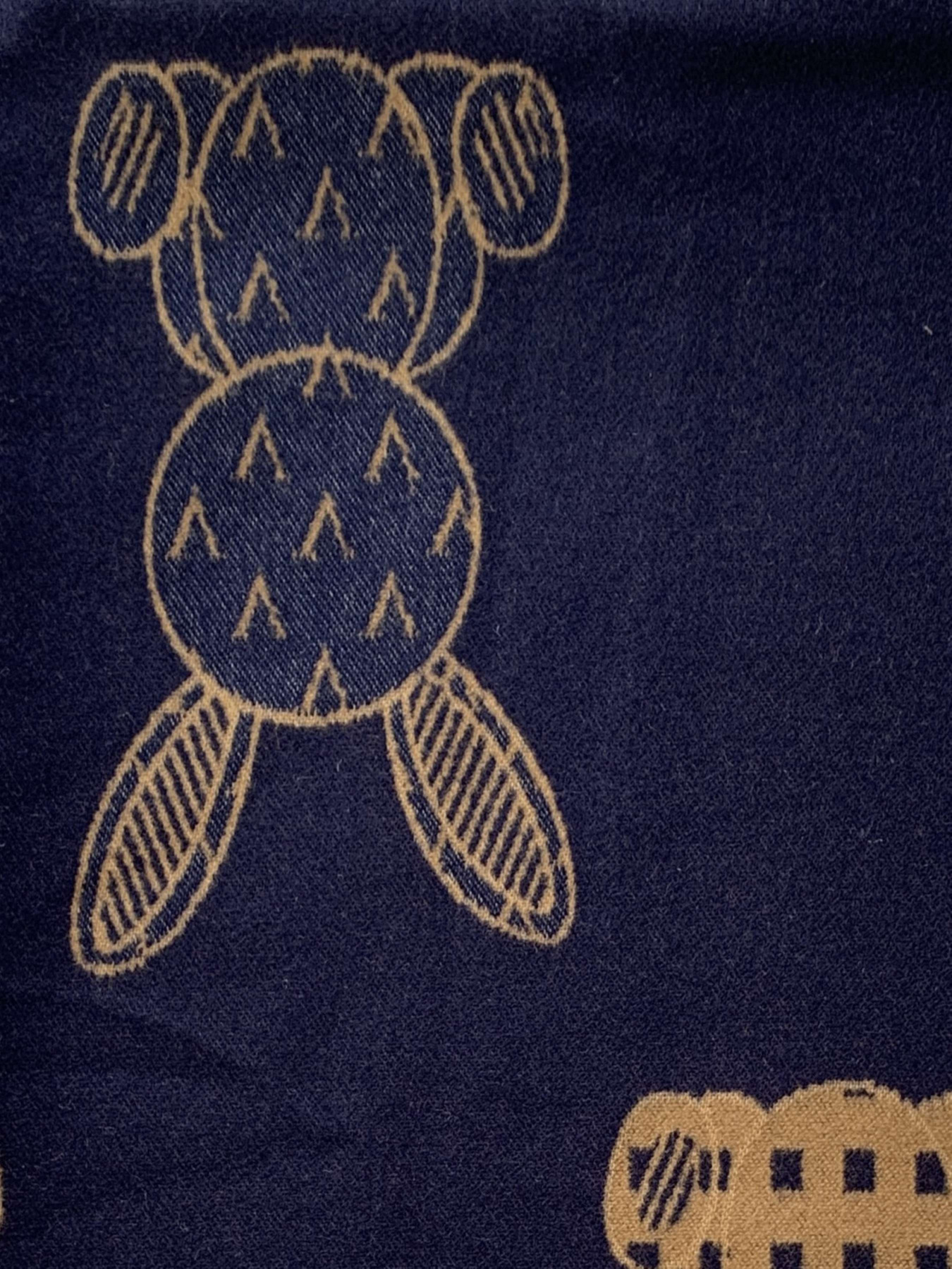 Шарф Regina Notte модель 4000000213347 Фото