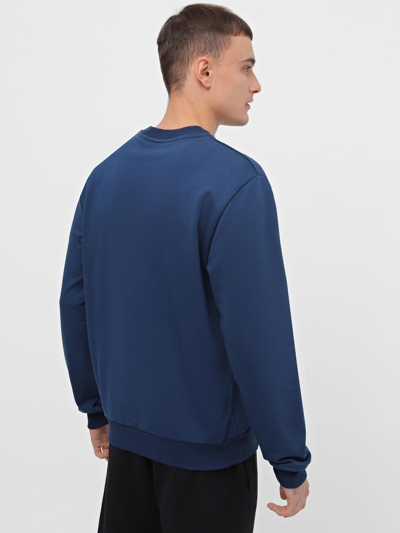 Свитшот Promin модель 1920-02_238 Фото