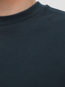 Свитшот Promin модель 1920-02_418 Фото