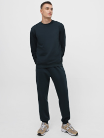 Свитшот Promin модель 1920-02_418 Фото