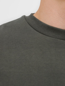 Свитшот Promin модель 1920-02_434 Фото