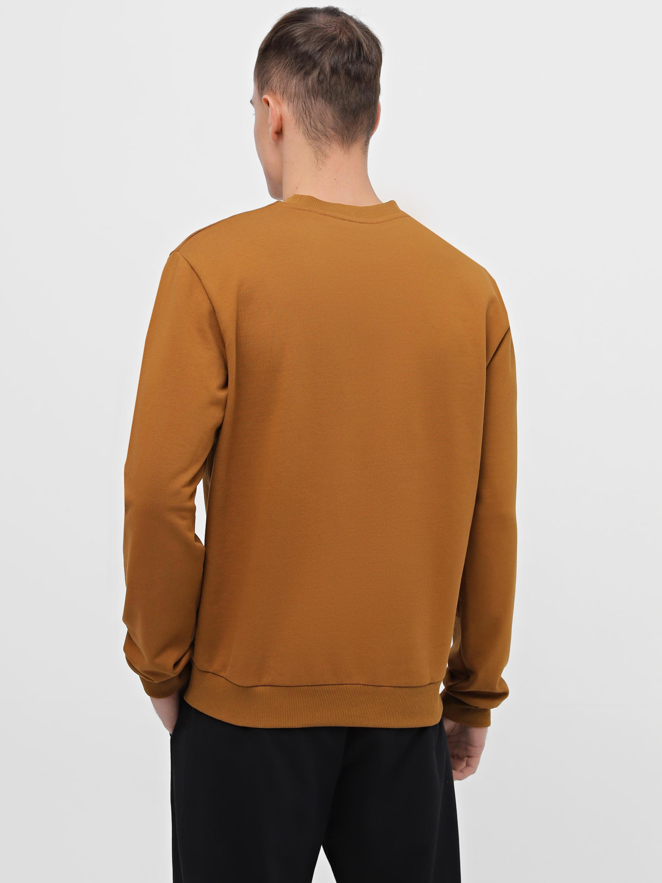 Свитшот Promin модель 1920-02_524 Фото