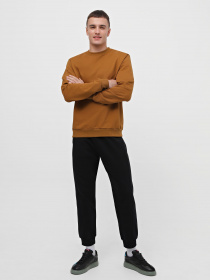 Свитшот Promin модель 1920-02_524 Фото