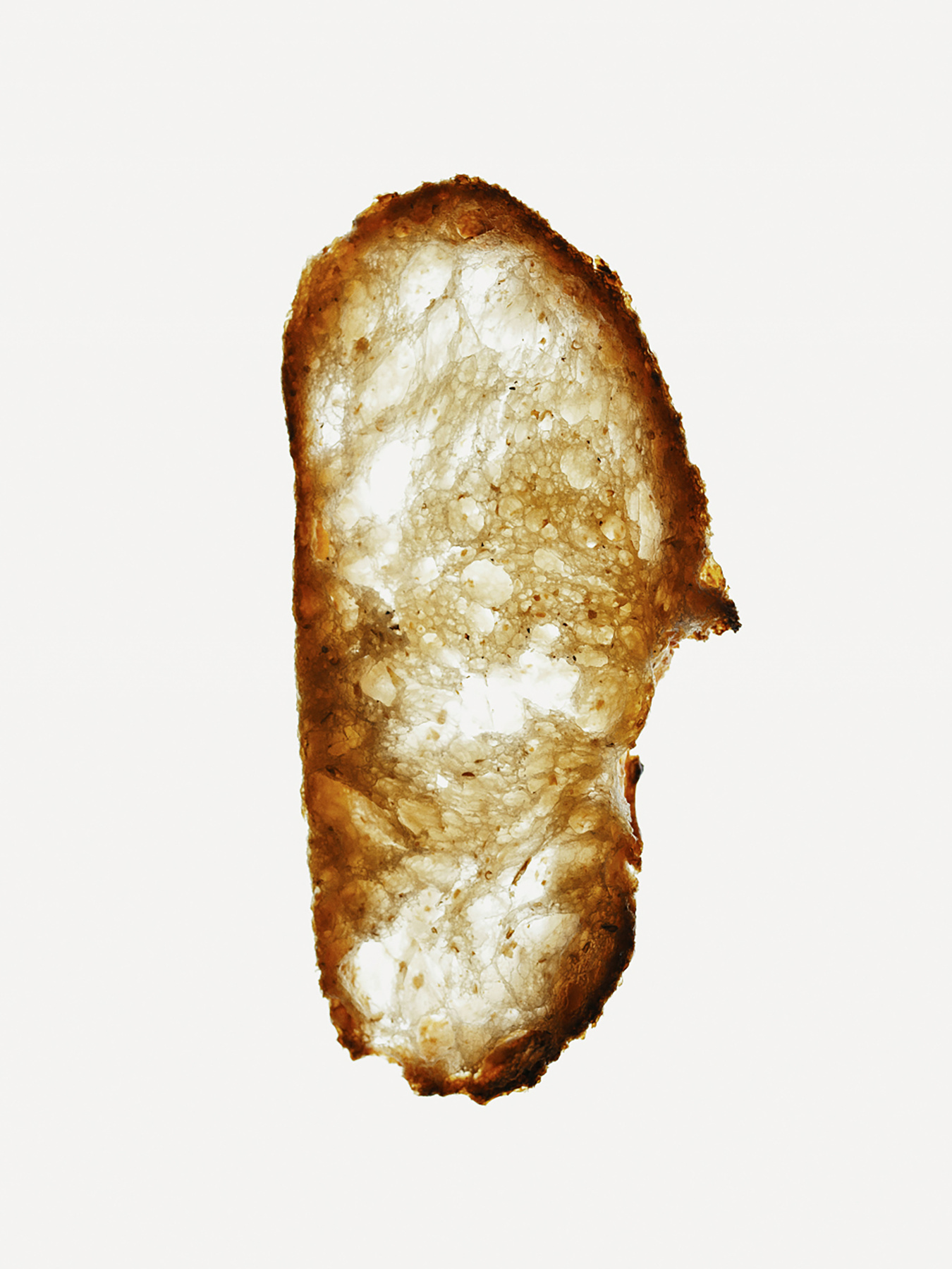 Пухнасте мило для рук Sense education модель SO300BR Фото