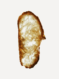 Пухнасте мило для рук Sense education модель SO300BR Фото