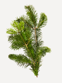 Гель-желе для купання Sense education модель GEL500SM Фото