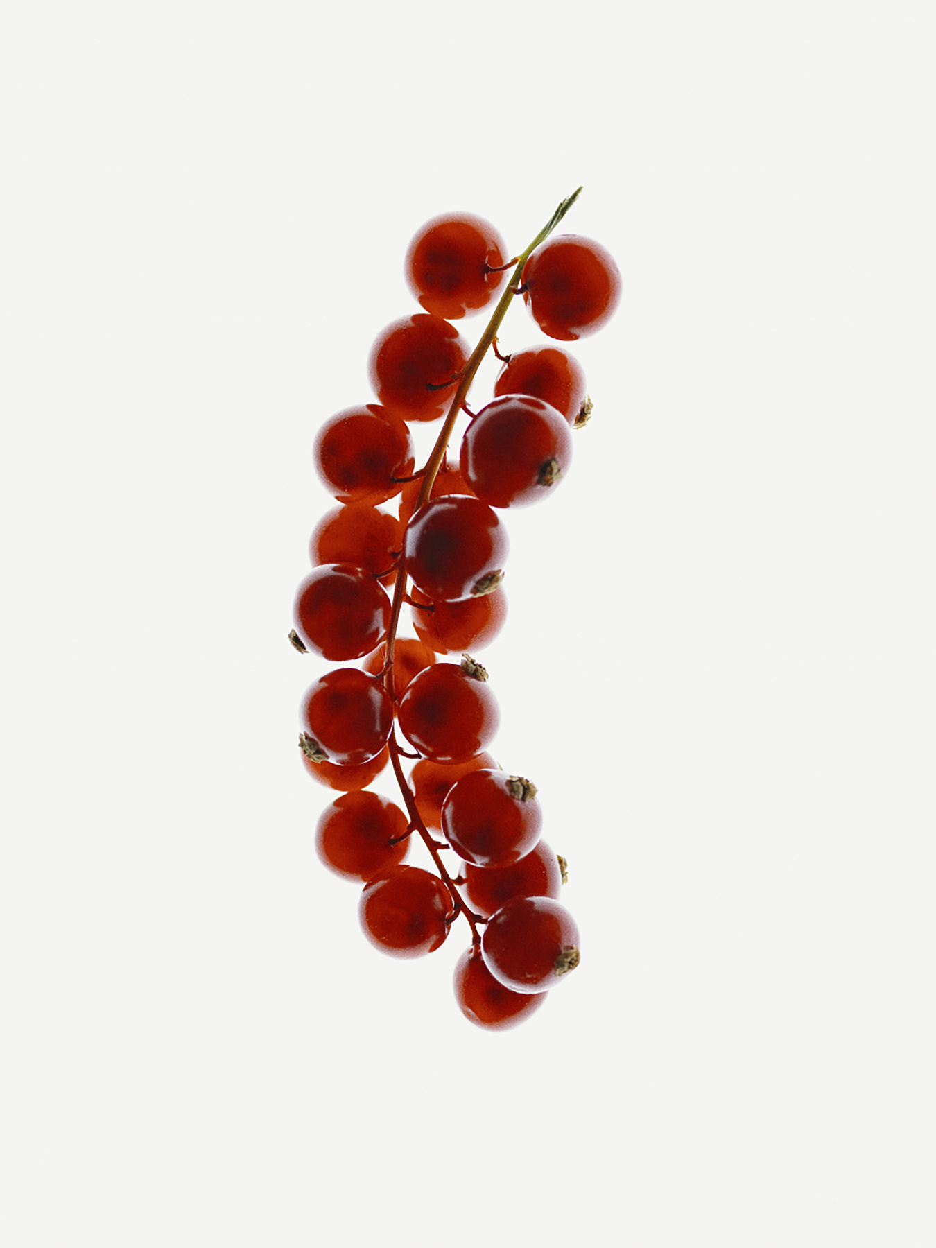 Крем для рук Sense education модель CR50CU Фото