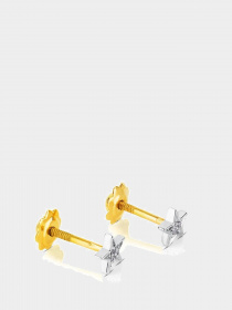 Пусети TOUS модель 415263110 Фото