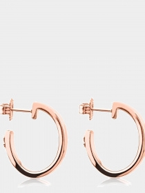 Серьги-подвески TOUS модель 612543520 Фото