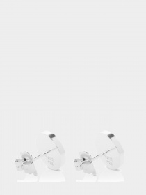 Серьги-гвоздики TOUS модель 712333500 Фото