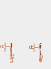 Серьги-гвоздики TOUS модель 012343560 Фото