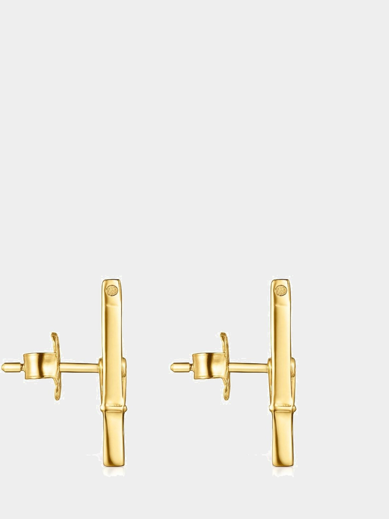 Серьги-гвоздики TOUS модель 011263530 Фото