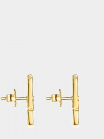 Серьги-гвоздики TOUS модель 011263530 Фото