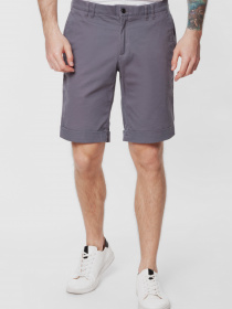 Шорты Arber модель AN01.43.25 Фото