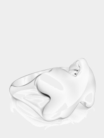 Каблучки TOUS модель 311655530 Фото