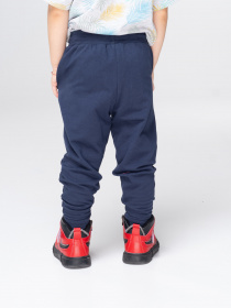 Джоггеры Роза модель 200504_blue Фото