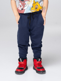 Джогери Роза модель 200504_blue Фото