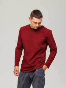 Лонгслив HANDY WEAR Cotton Basic модель 0643 Фото