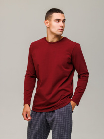 Лонгслів HANDY WEAR Cotton Basic модель 0643 Фото