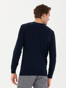 Джемпер US Polo модель G081GL0TK.000.1629648.VR033 Фото