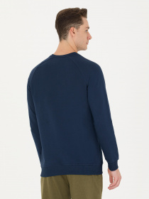 Свитшот US Polo модель G081SZ082.000.1639130.VR033 Фото