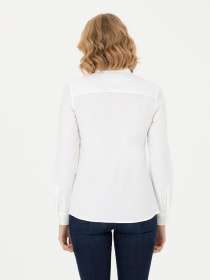 Рубашка повседневная US Polo модель G082SZ004.000.1672168.VR013 Фото