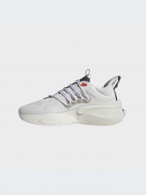 Кроссовки Adidas Alphabounce модель HP2757-KZ Фото